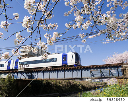 五条川の桜とミュースカイ　名鉄犬山線　大山寺-名古屋芸大・徳重間 39828430