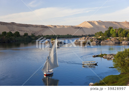 35836 35836 39828997