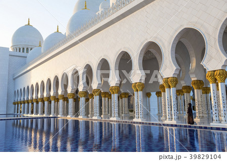 35812 35812 39829104