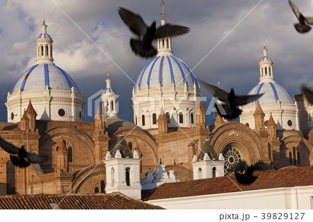 35831 35831 39829127