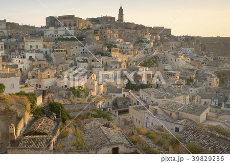 36008 36008 39829236