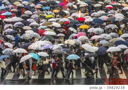 36060 36060 39829238