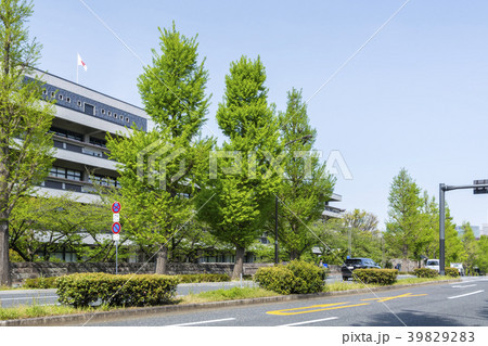 国会図書館前風景 国会図書館前風景 39829283