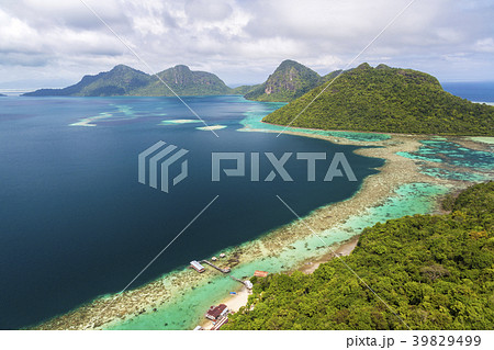 36251 36251 39829499