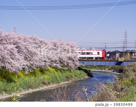 五条川の桜と2200系　名鉄犬山線　大山寺-名古屋芸大・徳重間 39830499