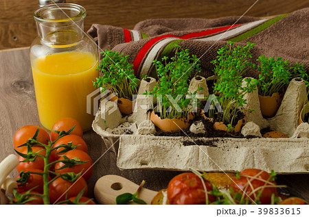 Roasted Cherry Tomato Sauce and Ricotta on Toast 39833615