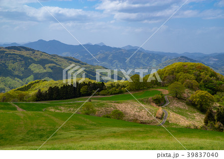 高原の牧草地から見下ろす春の山肌 秩父高原牧場 e 望遠 蓑山から宝登山 高原の牧草地から見下ろす春の山肌 秩父高原牧場 e 望遠 蓑山から宝登山 39837040