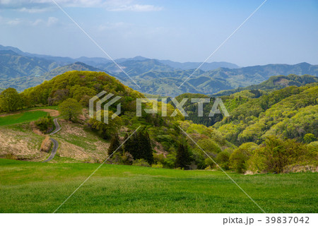 高原の牧草地から見下ろす春の山肌 秩父高原牧場　d 望遠 宝登山から北側 39837042