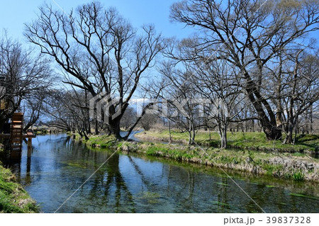 早春の安曇野 39837328