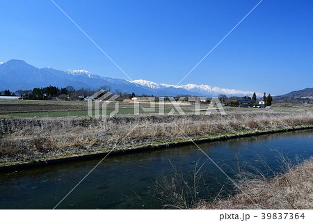 早春の安曇野 39837364