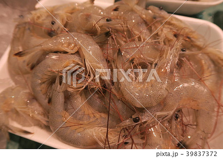 芝エビ 39837372