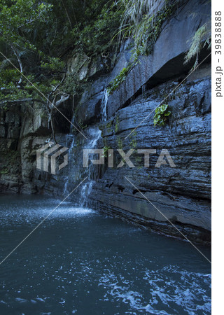 西表島/船浮湾/水落の滝 39838888