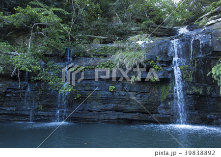 西表島/船浮湾/水落の滝 39838892