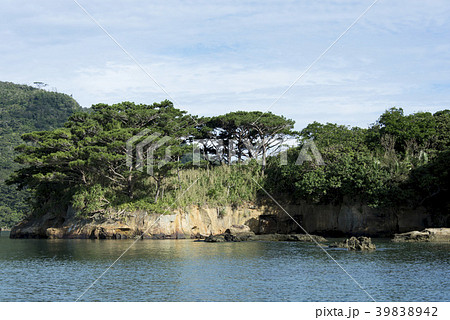 西表島/船浮湾/内離島の断崖 39838942
