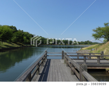 杉焼池 ( 2017年6月 岐阜県土岐市 道の駅「土岐美濃焼街道」「どんぶり会館」周辺) 39839099