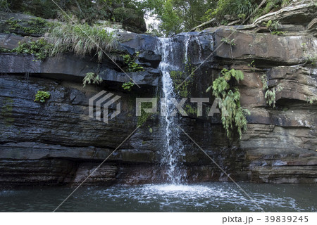 西表島/船浮湾/水落の滝 39839245