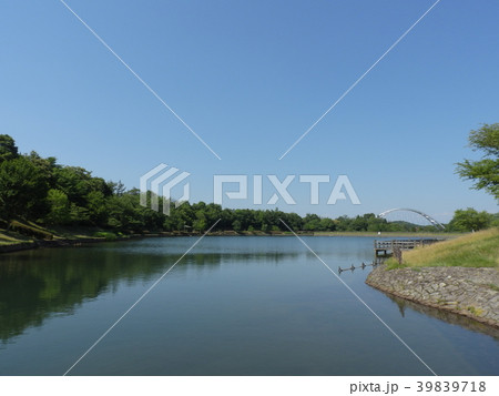杉焼池 ( 2017年6月 岐阜県土岐市 道の駅「土岐美濃焼街道」「どんぶり会館」周辺) 杉焼池 ( 2017年6月 岐阜県土岐市 道の駅「土岐美濃焼街道」「どんぶり会館」周辺) 39839718
