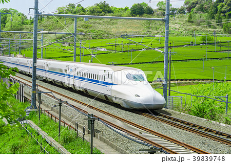 新緑の茶畑と新幹線 新緑の茶畑と新幹線 39839748