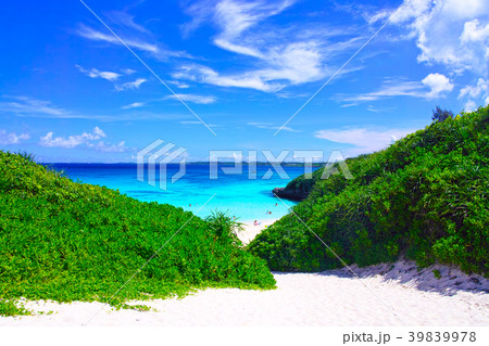 真夏の宮古島。砂山ビーチへ下りる砂の坂道 真夏の宮古島。砂山ビーチへ下りる砂の坂道 39839978