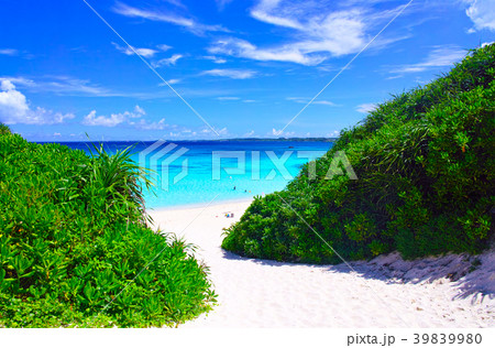 真夏の宮古島。砂山ビーチへ下りる砂の坂道 真夏の宮古島。砂山ビーチへ下りる砂の坂道 39839980