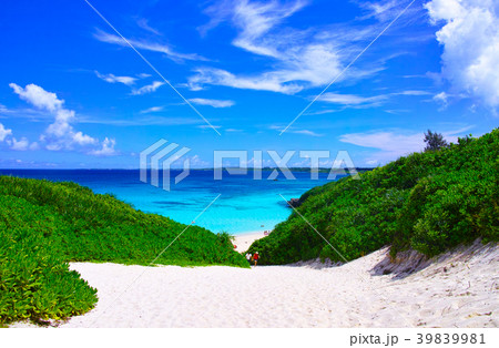 真夏の宮古島。砂山ビーチへ下りる砂の坂道 39839981