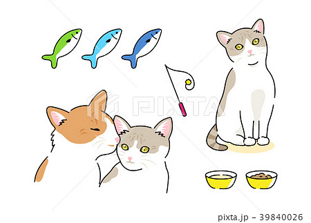 猫 猫 39840026