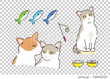 猫 猫 39840026