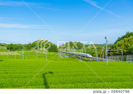 新緑の茶畑と新幹線　青空 39840796