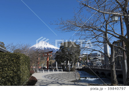 富士宮市/神田川ふれあい広場と富士山 39840797