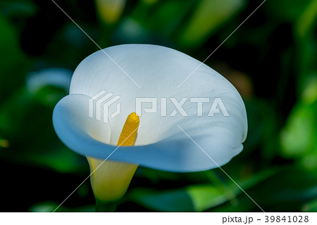 台北 台北市 タイペイ 39841028