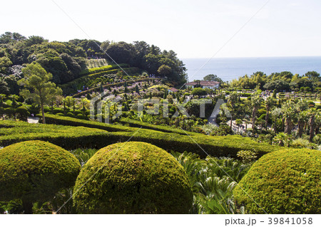 風景 木 事件 39841058