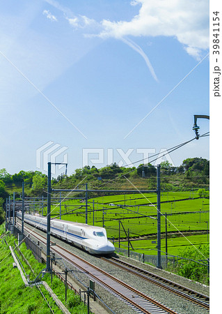 新緑の茶畑と新幹線　青空 39841154