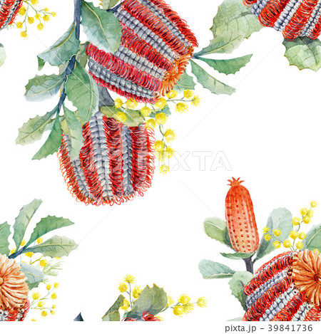 Watercolor australian banksia floral pattern 39841736