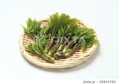 山菜こしあぶら 39842562