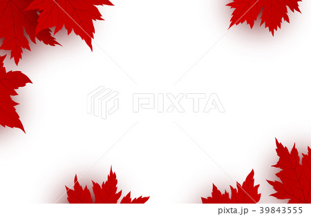Canada Day Background Design Of Red Maple Leavesのイラスト素材