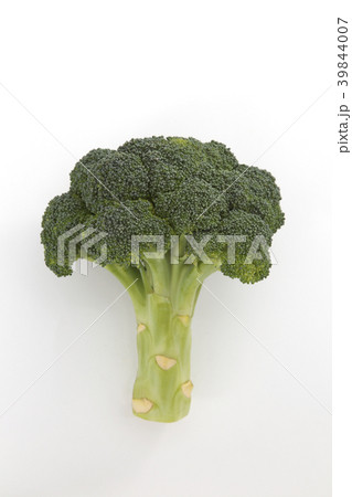 ブロッコリー 39844007