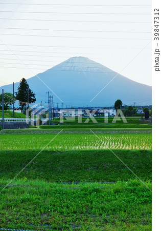 初夏の背景素材・瑞々しい早苗田と淡い富士・電線前景縦位置 39847312