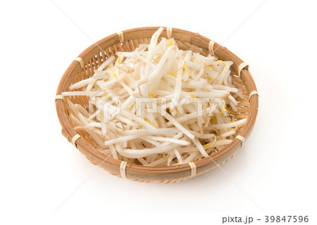 緑豆もやし 39847596