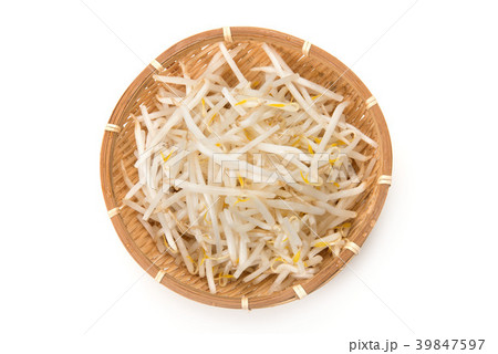緑豆もやし 緑豆もやし 39847597