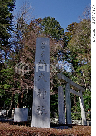 椿大神社 39847877