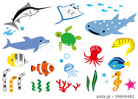 Marine Life Of The Southern Country Stock Illustration
