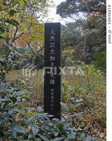 天然記念物及び史跡の碑（東京都港区） 39848859