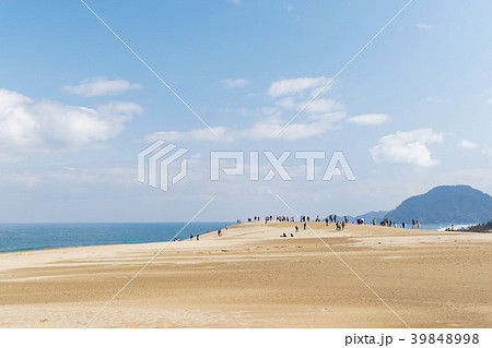 鳥取砂丘　馬の背 39848998