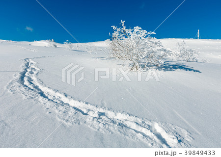 Winter snowdrifts (Carpathian mo 39849433