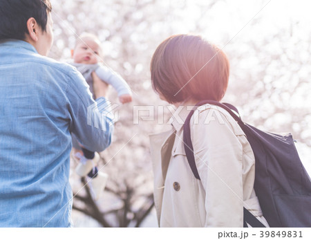 桜 桜 39849831