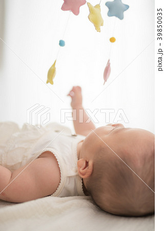 育児関連 育児関連 39850035