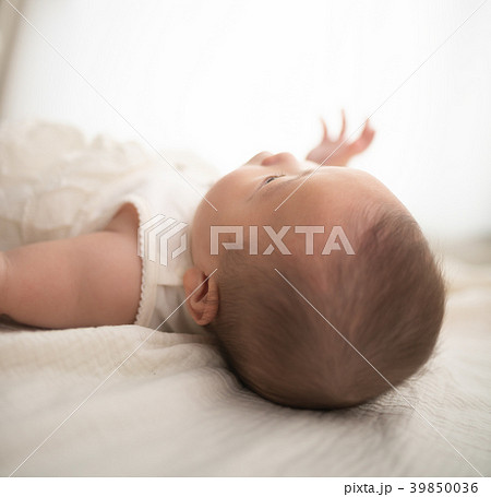 育児関連 育児関連 39850036