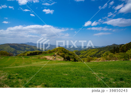 高原の牧草地から見下ろす春の山肌 秩父高原牧場 a 広角 高原の牧草地から見下ろす春の山肌 秩父高原牧場 a 広角 39850243