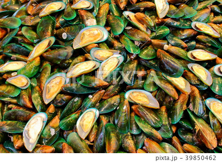Asian green mussel on street market Asian green mussel on street market 39850462