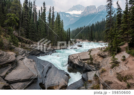 View of the mountain river. Banff National Park View of the mountain river. Banff National Park 39850600